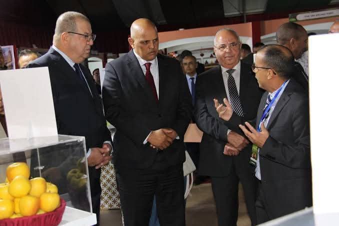 ميدلت.. افتتاح الدورة السادسة للملتقى الوطني للتفاح بحضور مسؤولين وفاعلين في القطاع الفلاحي