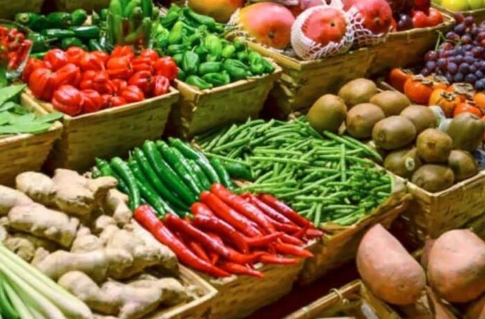 الحكومة تعلن إحداث ست شركات جهوية متعددة الخدمات تتولى مهمة تجميع وتوزيع المواد الفلاحية